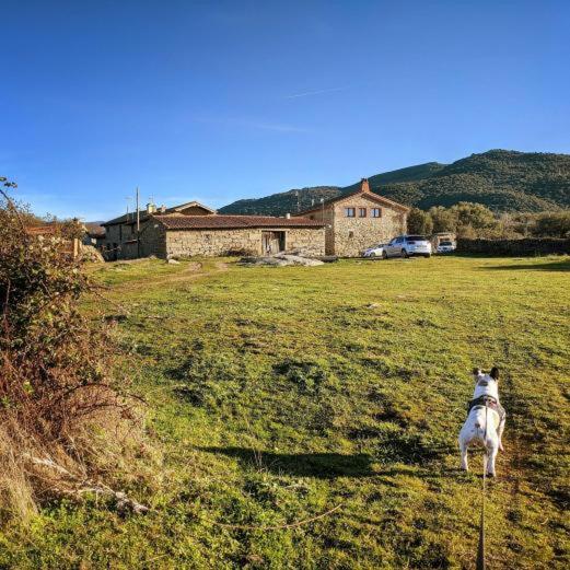 Holiday home La Candileja
